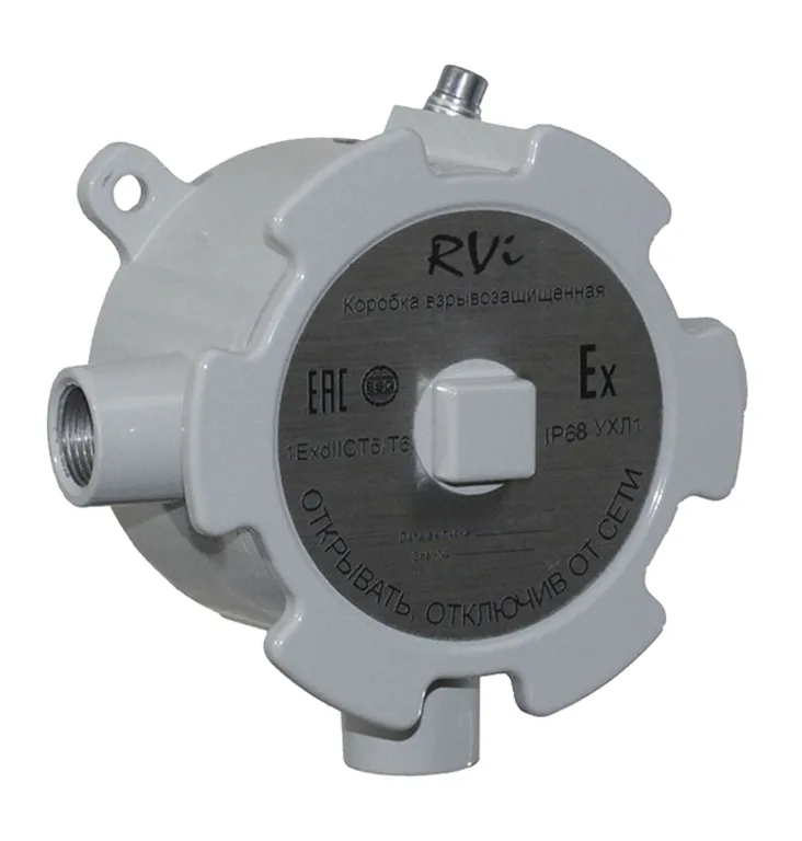 RVI RVI-4TJB-AS/K01.С-EX RVI RVI-4TJB-AS/K01.С-EX